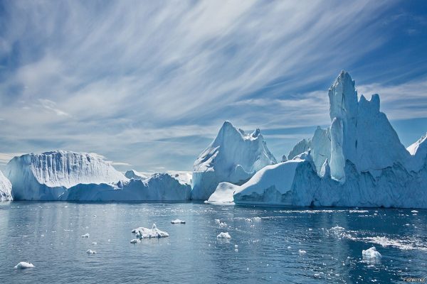arctică