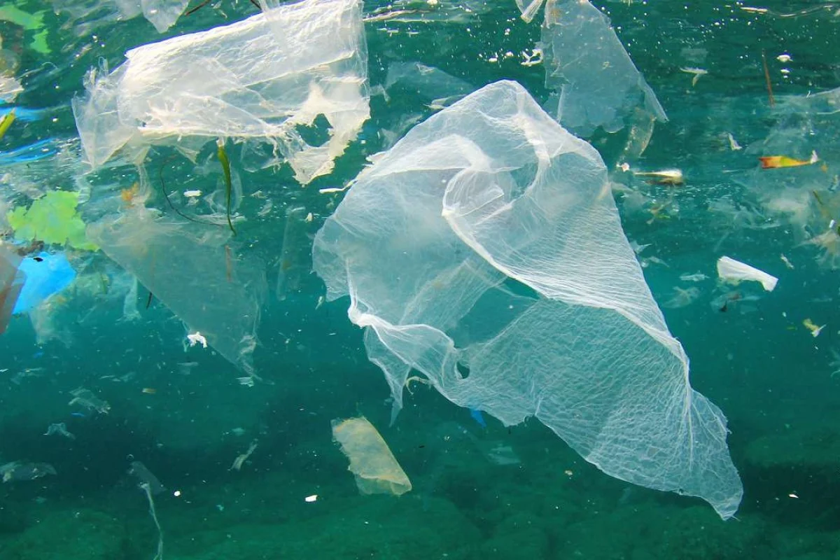 Un nou studiu demonstrează că legile care interzic utilizarea pungilor de plastic reduc cu până la 47% prezența acestora pe coastă