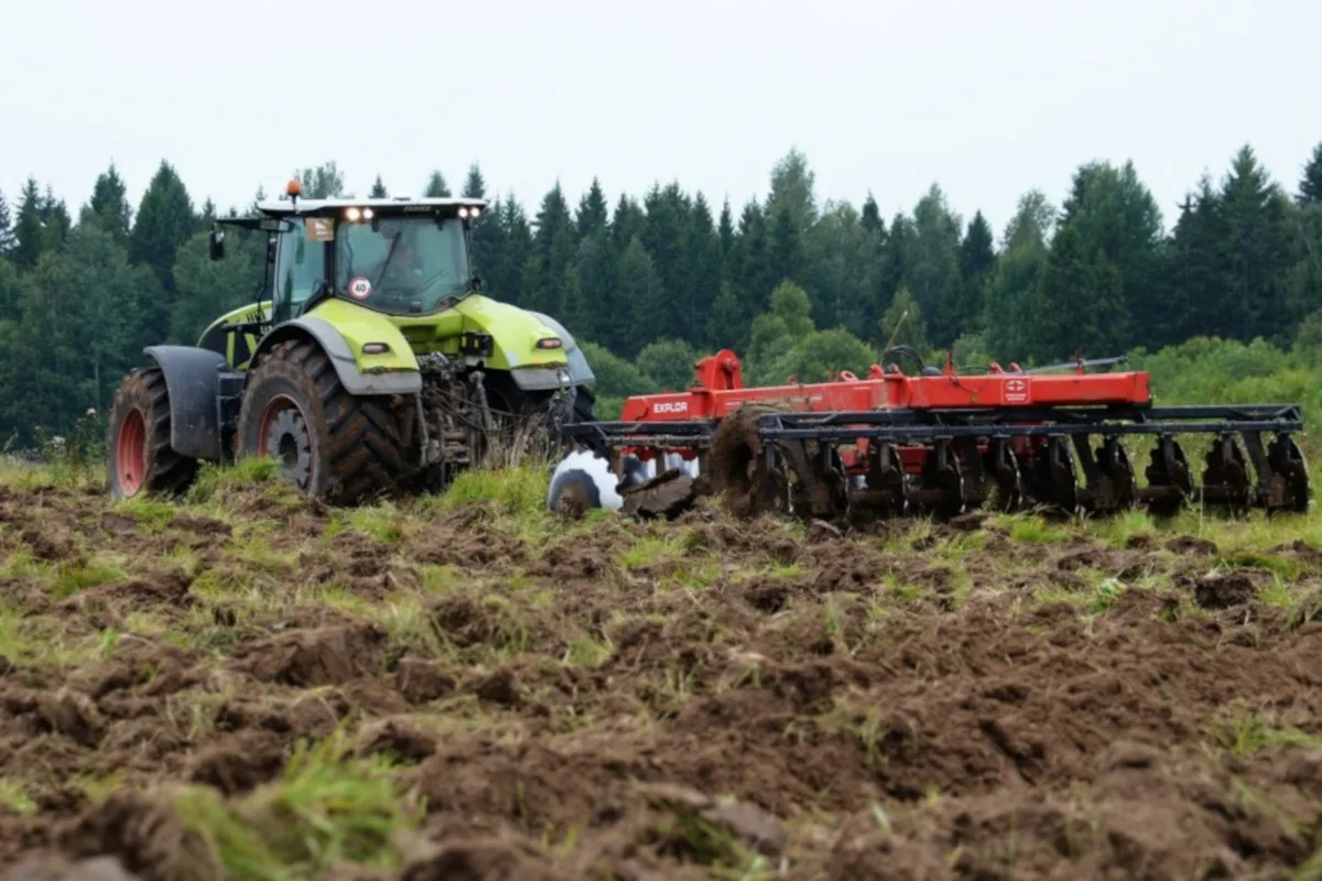 Un fermier a fost amendat cu 10.000 de euro pentru distrugerea habitatului unei păsări pe cale de dispariție: nu a așteptat autorizația administrativă