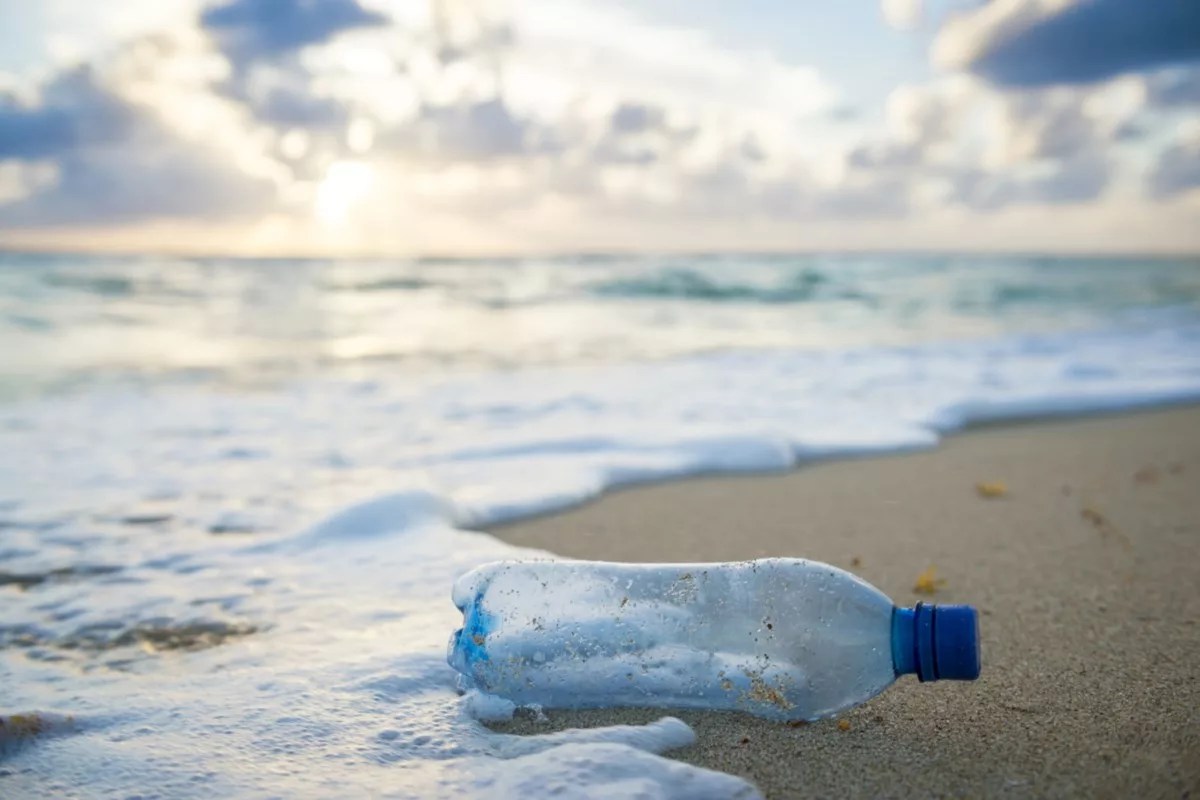 Un studiu recent arată că sticlele de sticlă conțin mai multe microplastice decât cele de plastic