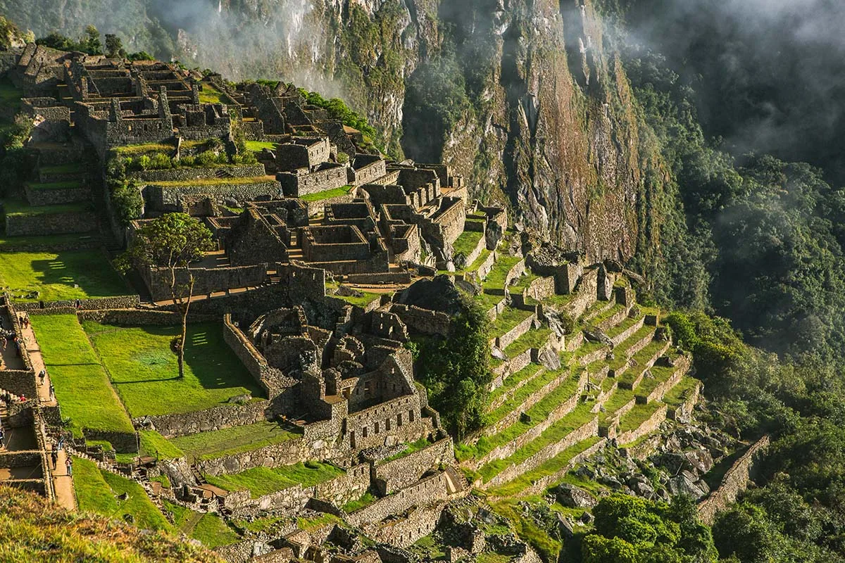 Descoperire surprinzătoare la Machu Picchu: o nouă specie localizată în sanctuarul istoric