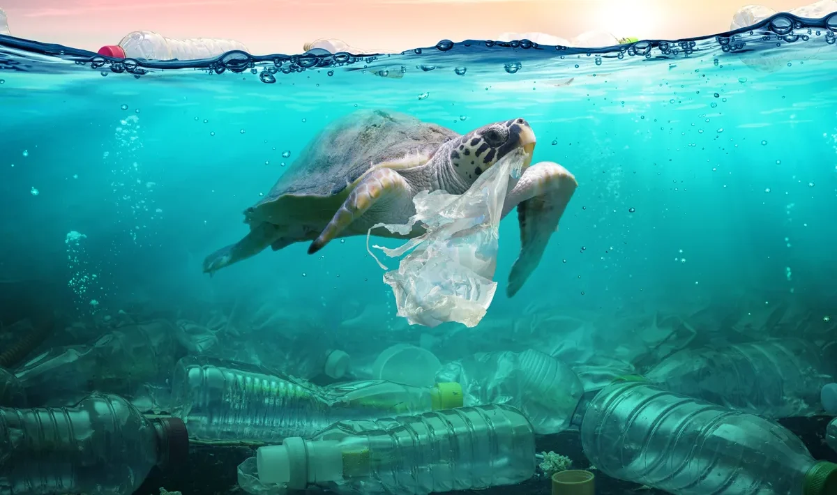 plastic