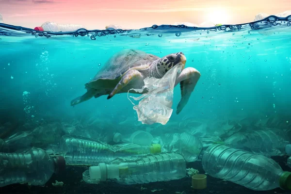 plastic