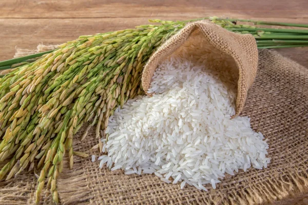 oțet