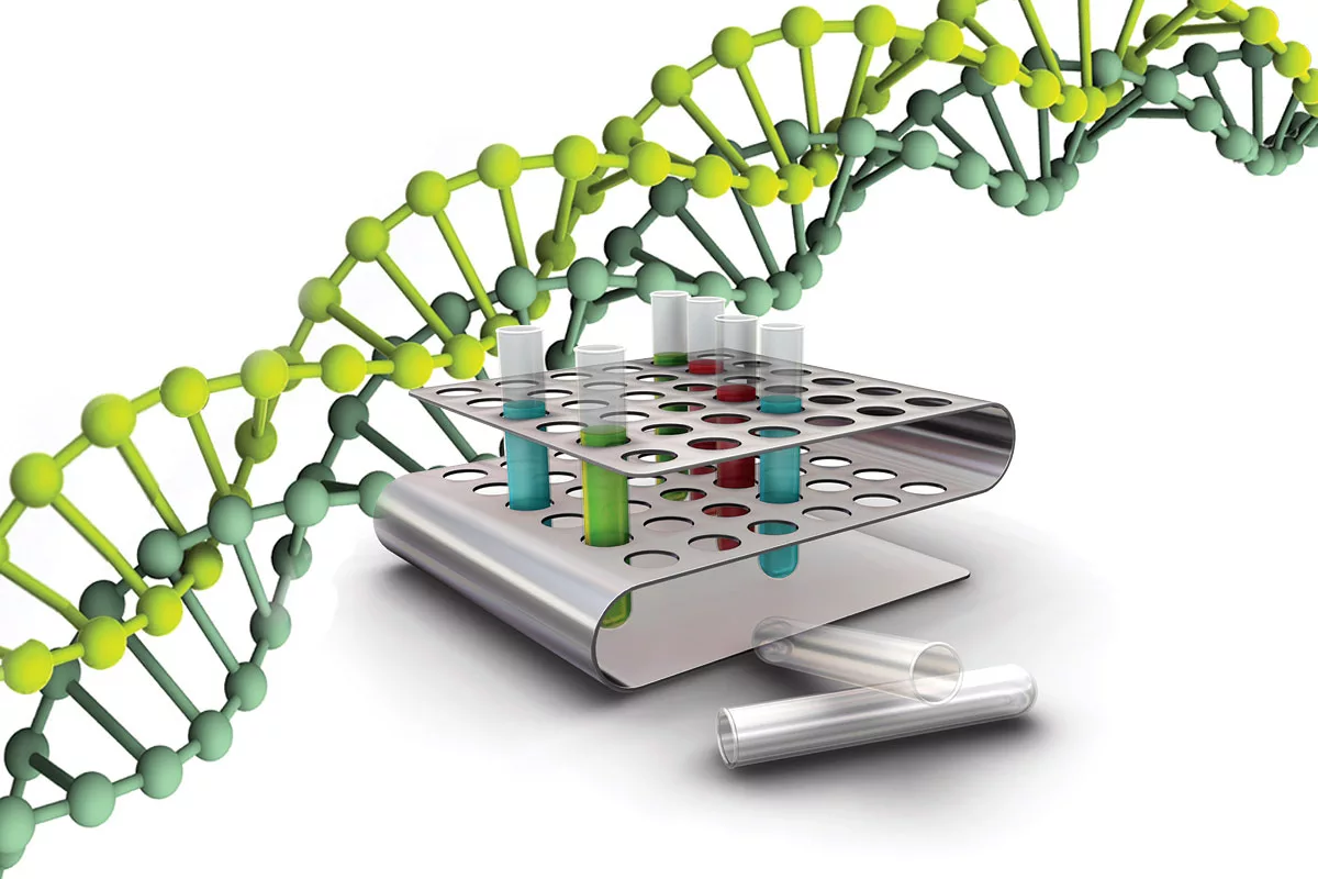 Geneticienii sunt șocați: un test ADN ar putea confirma că acest craniu a aparținut unui conducător legendar