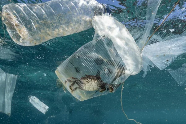 plastic