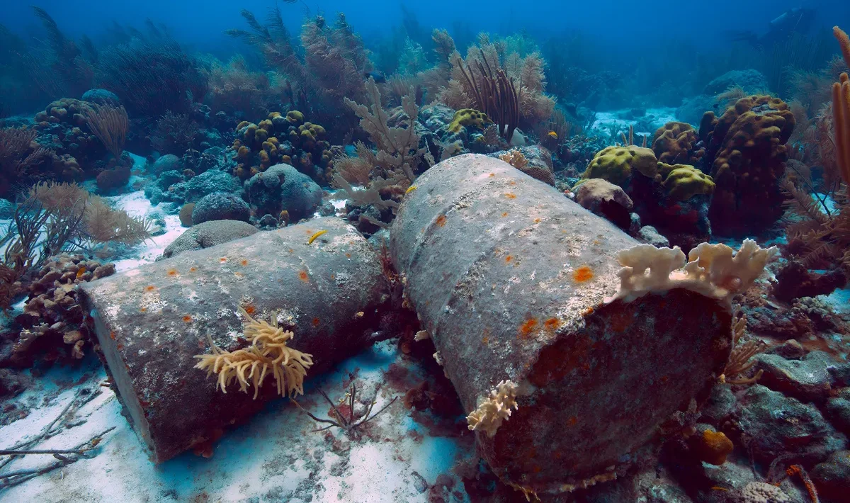 oceanului