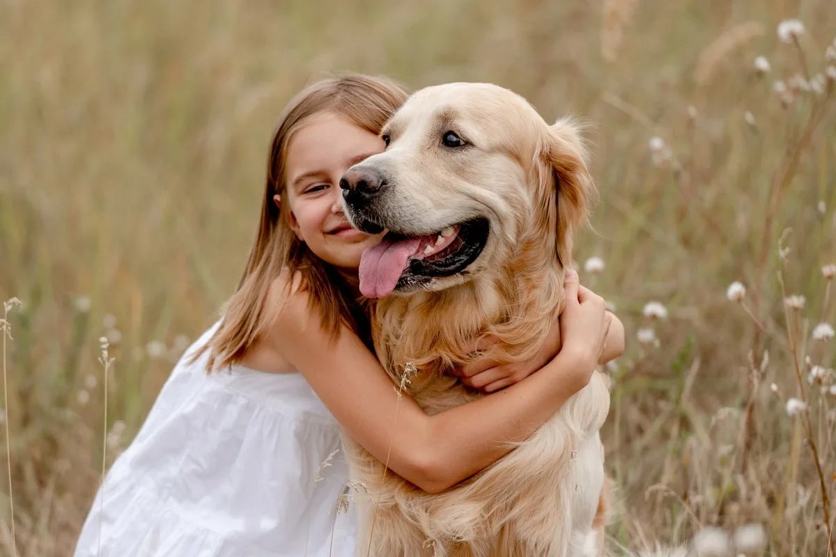 Golden Retrieverul care a emoționat rețelele sociale prin reacția sa la faptul că nu a putut intra într-o casă de jucărie: „I-au închis ușa”