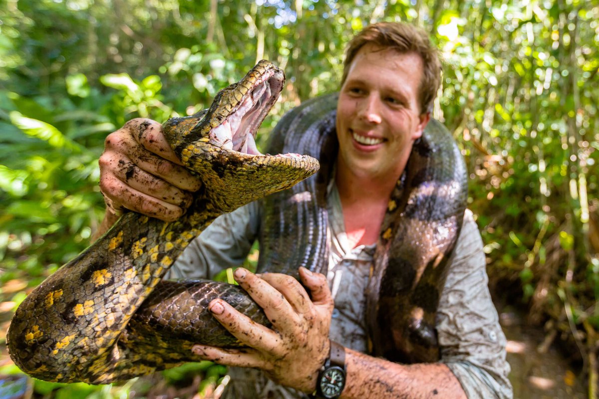 „Am crezut că era un buștean, dar s-a mișcat”: Anaconda record descoperită în expediția lui Will Smith în Amazon șochează echipa