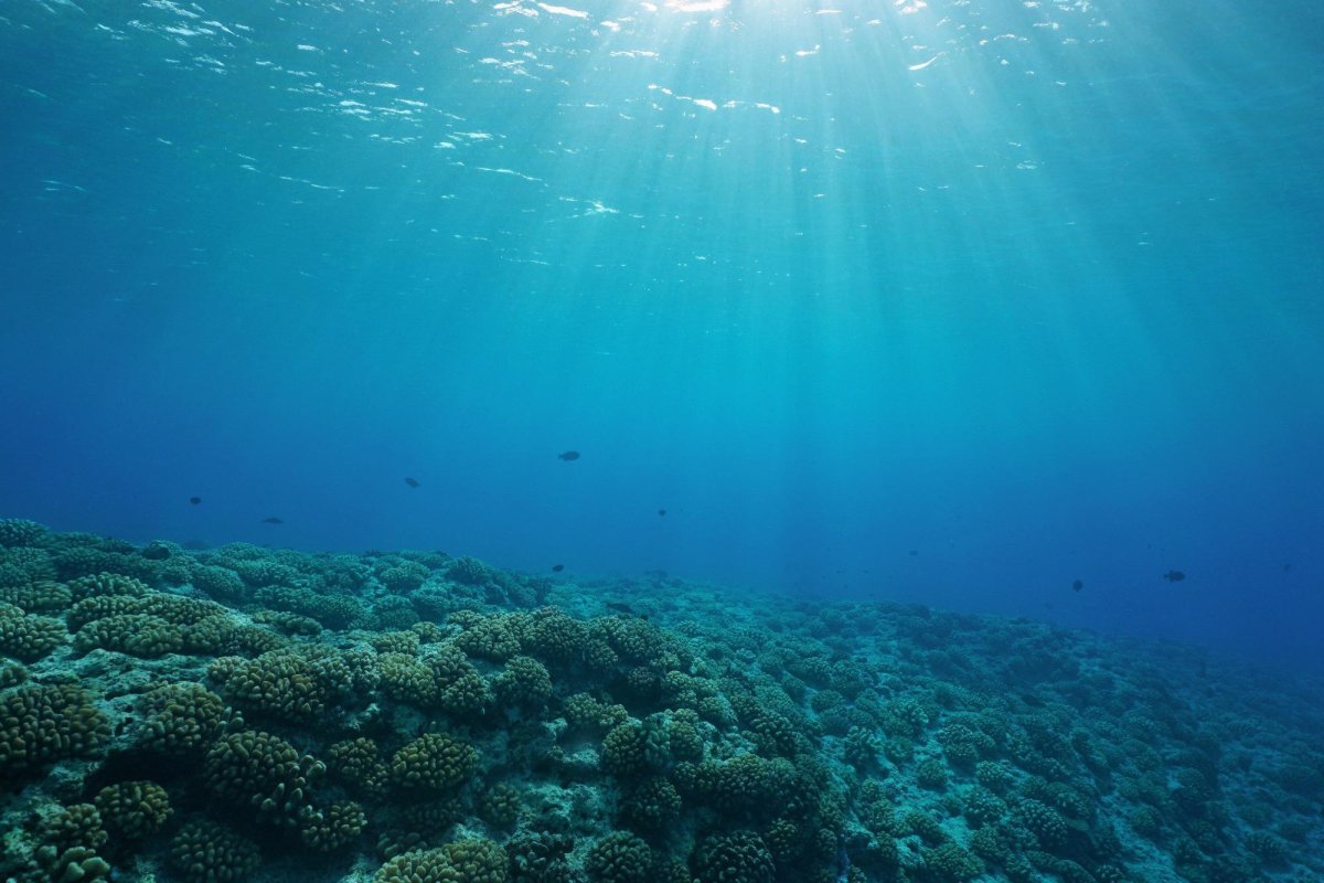 Preocupare în rândul cercetătorilor după detectarea unui pericol invizibil în ocean: acesta a fost considerabil subestimat