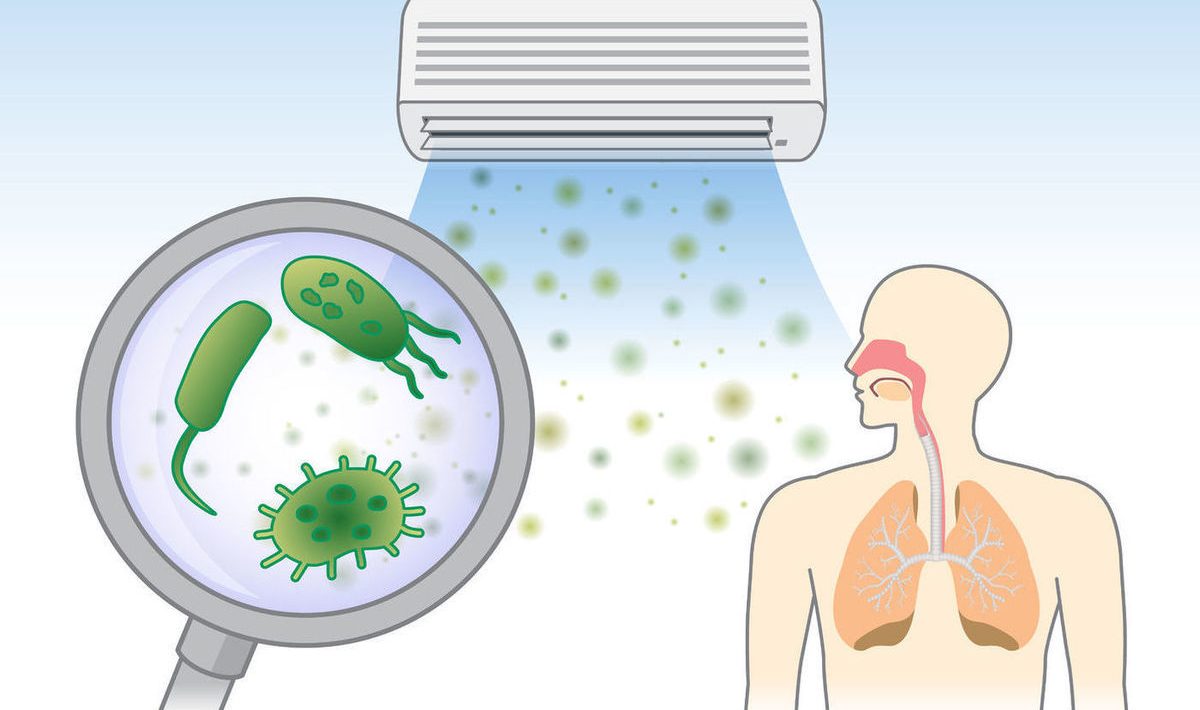 bacterii
