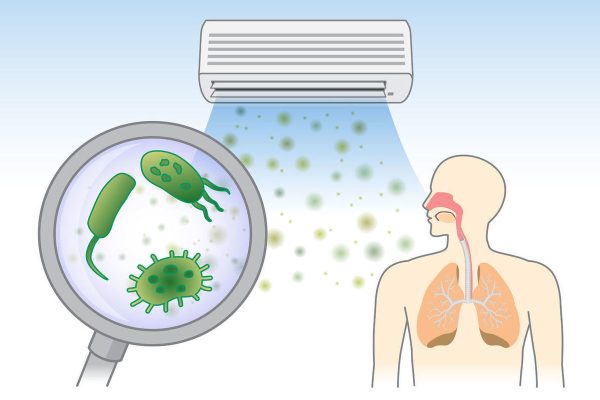 bacterii