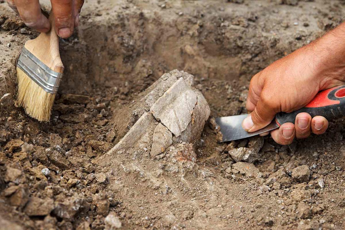Descoperirea accidentală a două săbii romane de către un pasionat de detectoare de metale dezvăluie existența unei așezări din Epoca Fierului în Anglia