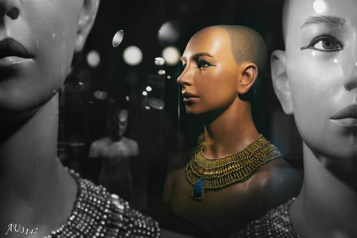 Ciuperca temută descoperită în mormântul lui Tutankhamon și asociată cu „blestemul faraonului” devine un posibil leac pentru cancer