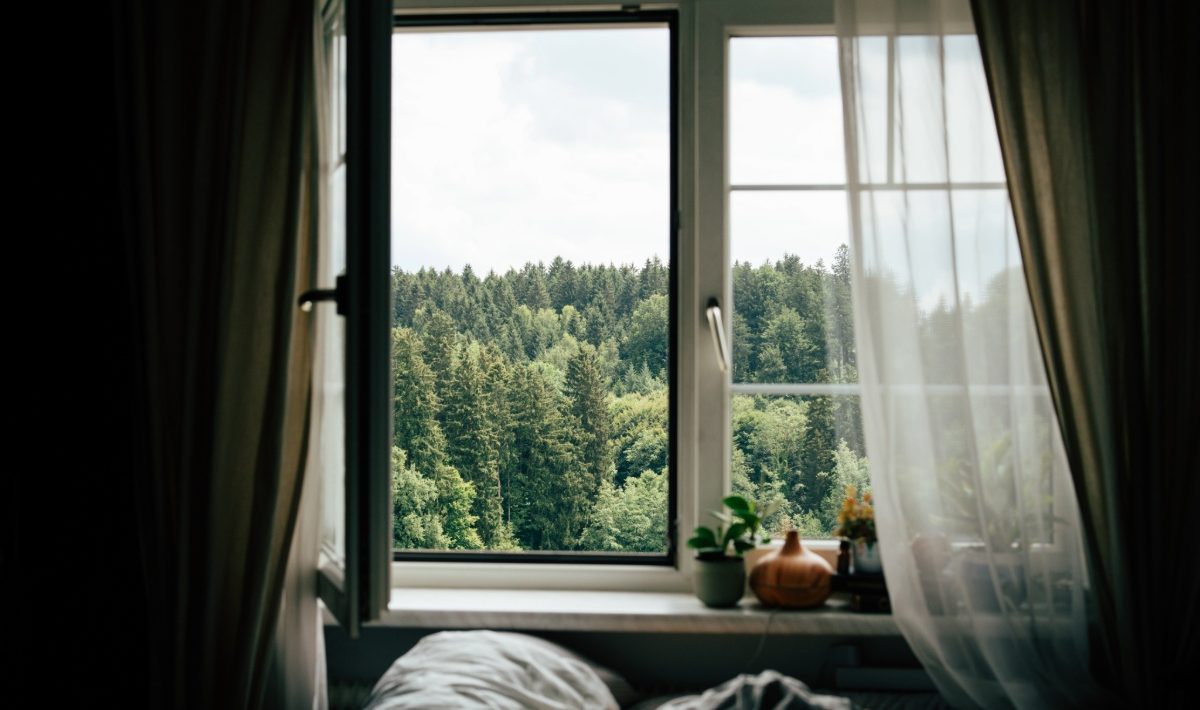 dormiți