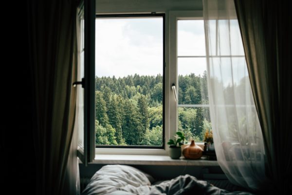 dormiți