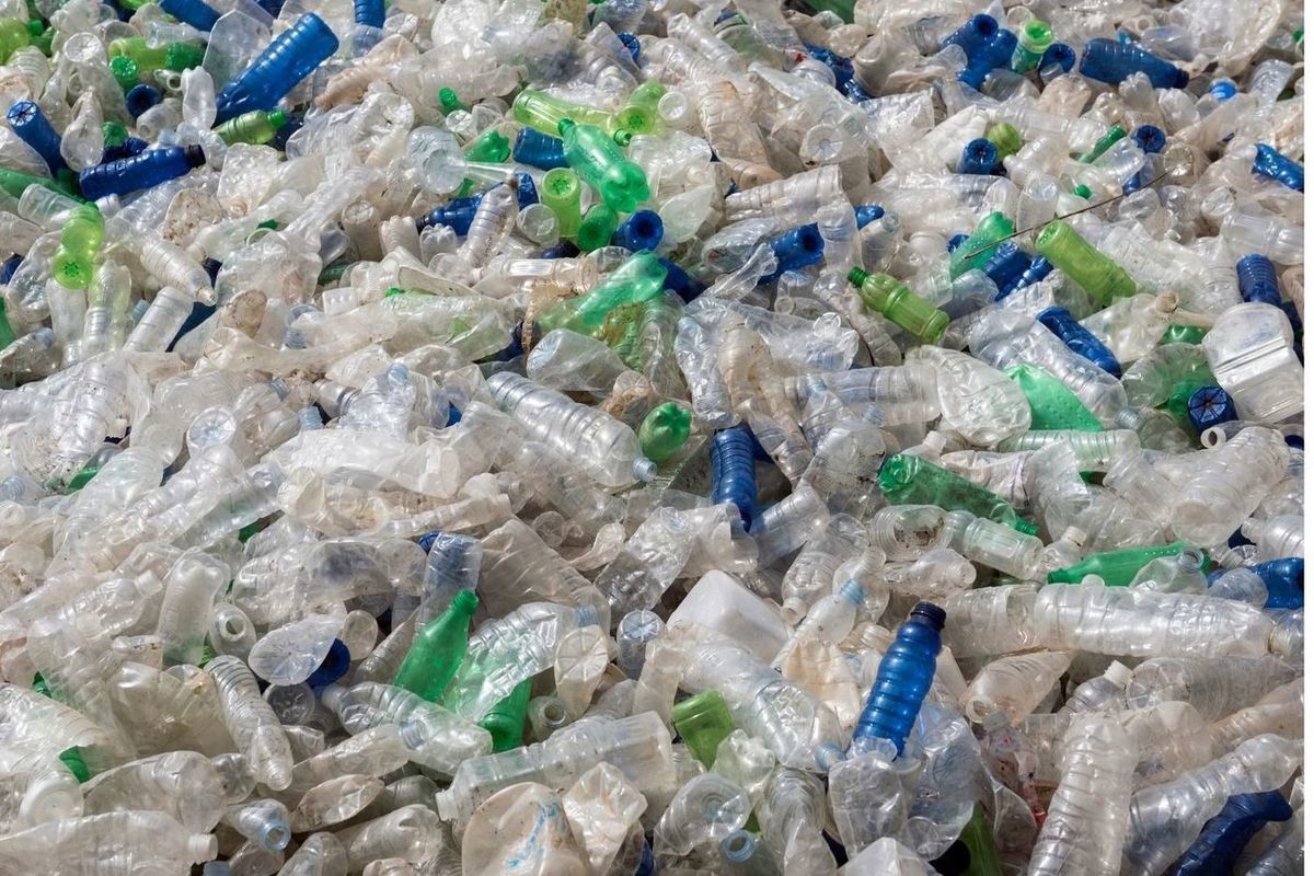 Un bărbat spune „ajunge” cu slujba sa, se dedică reciclării sticlelor și viața lui se schimbă: „Mănânc ca la restaurant în fiecare zi”