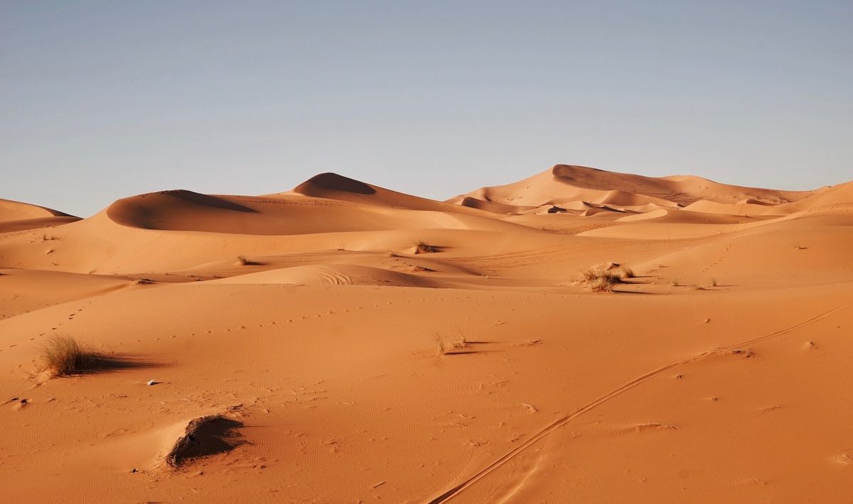 Sahara