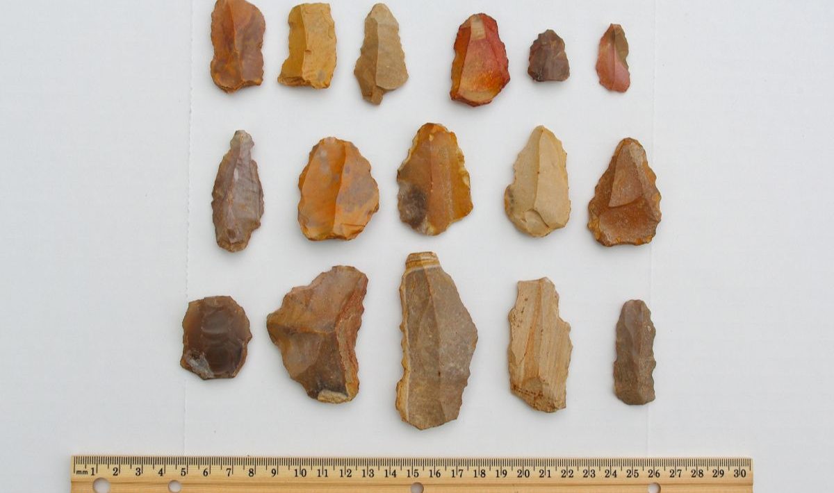 neandertal