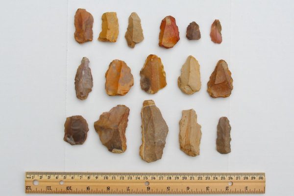 neandertal