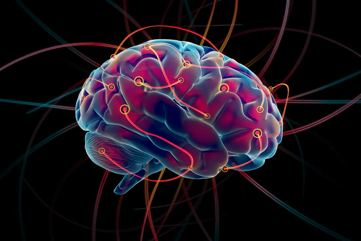 Nu este un mit. Biologii au demonstrat că neuronii umani se formează pe tot parcursul vieții