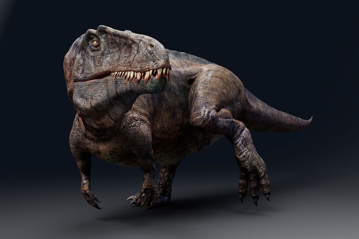 Dinozaurii nu răcneau, ci cântau: descoperit primul laringe fosil care sugerează o vocalizare similară cu cea a păsărilor