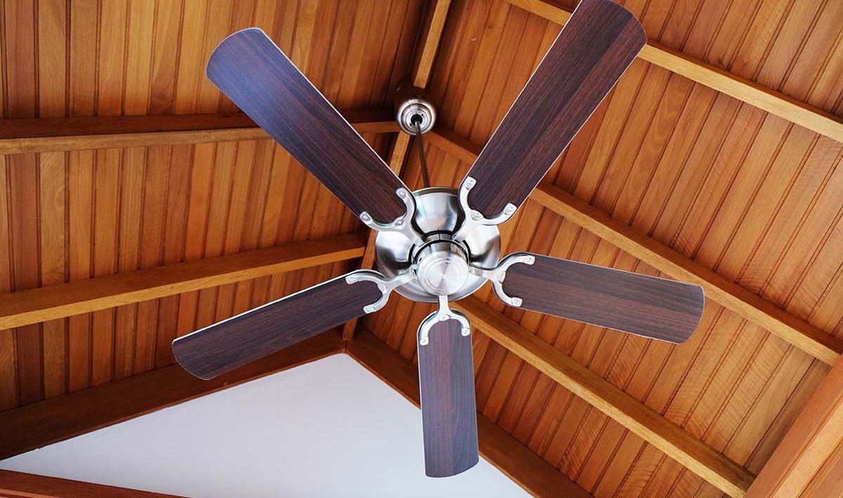 ventilator