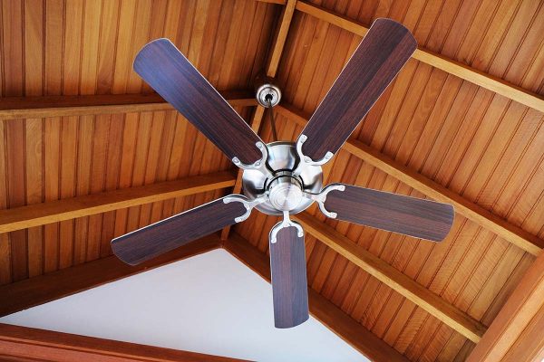 ventilator