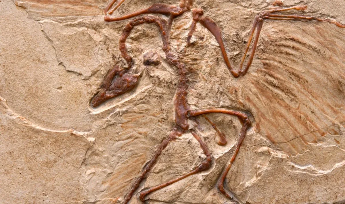 dinozauri