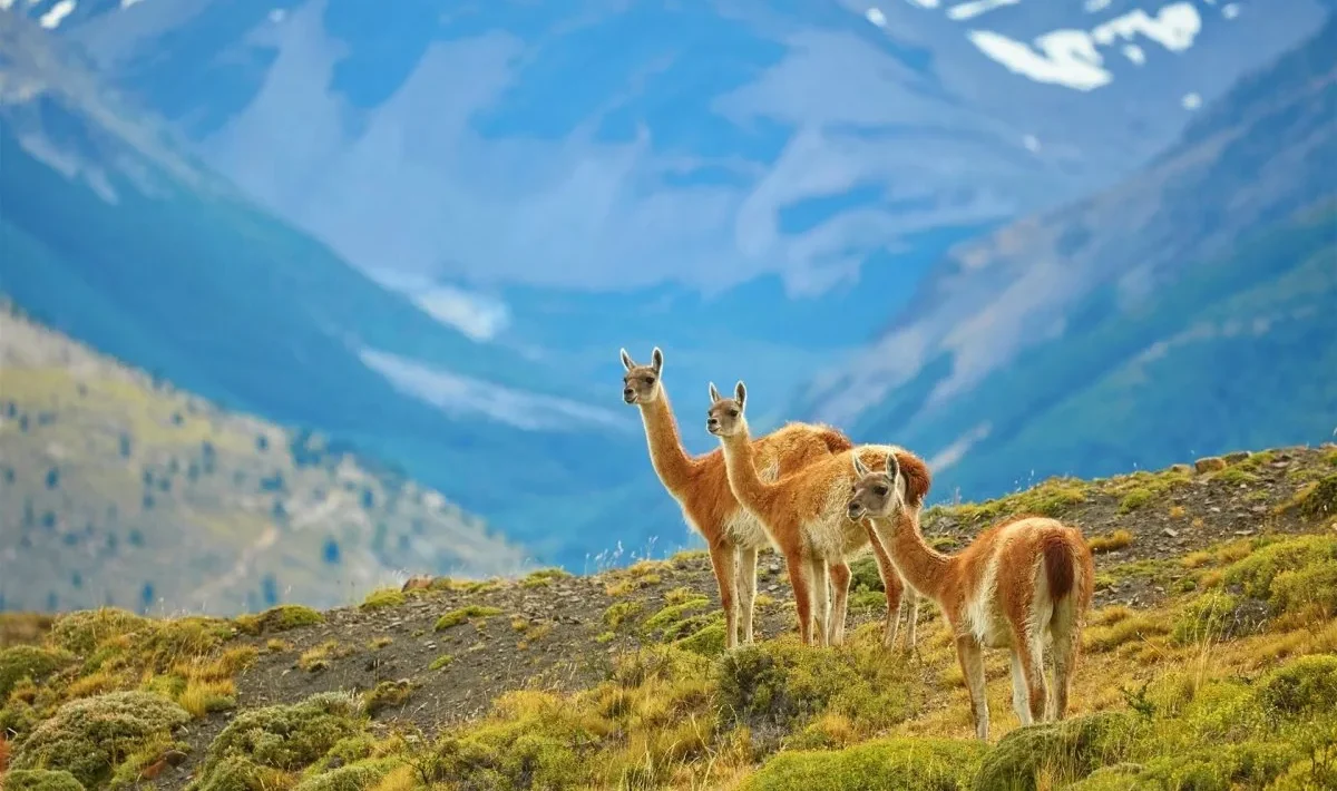 Chile