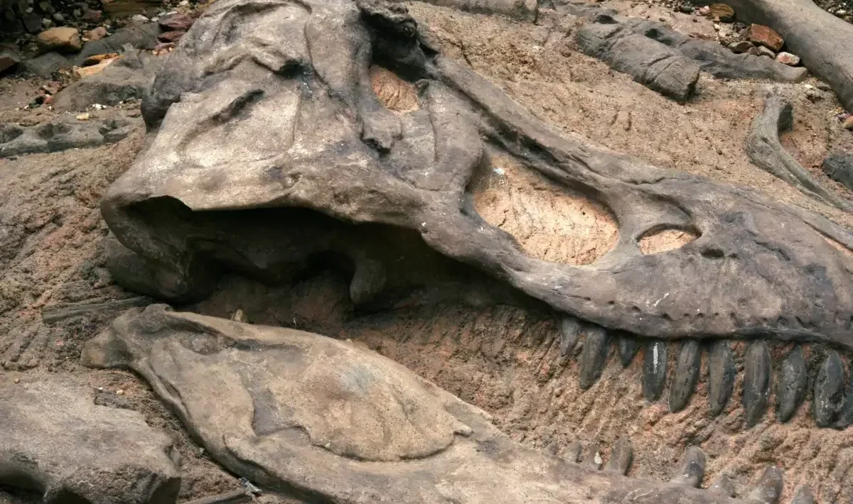 Dinozaurii