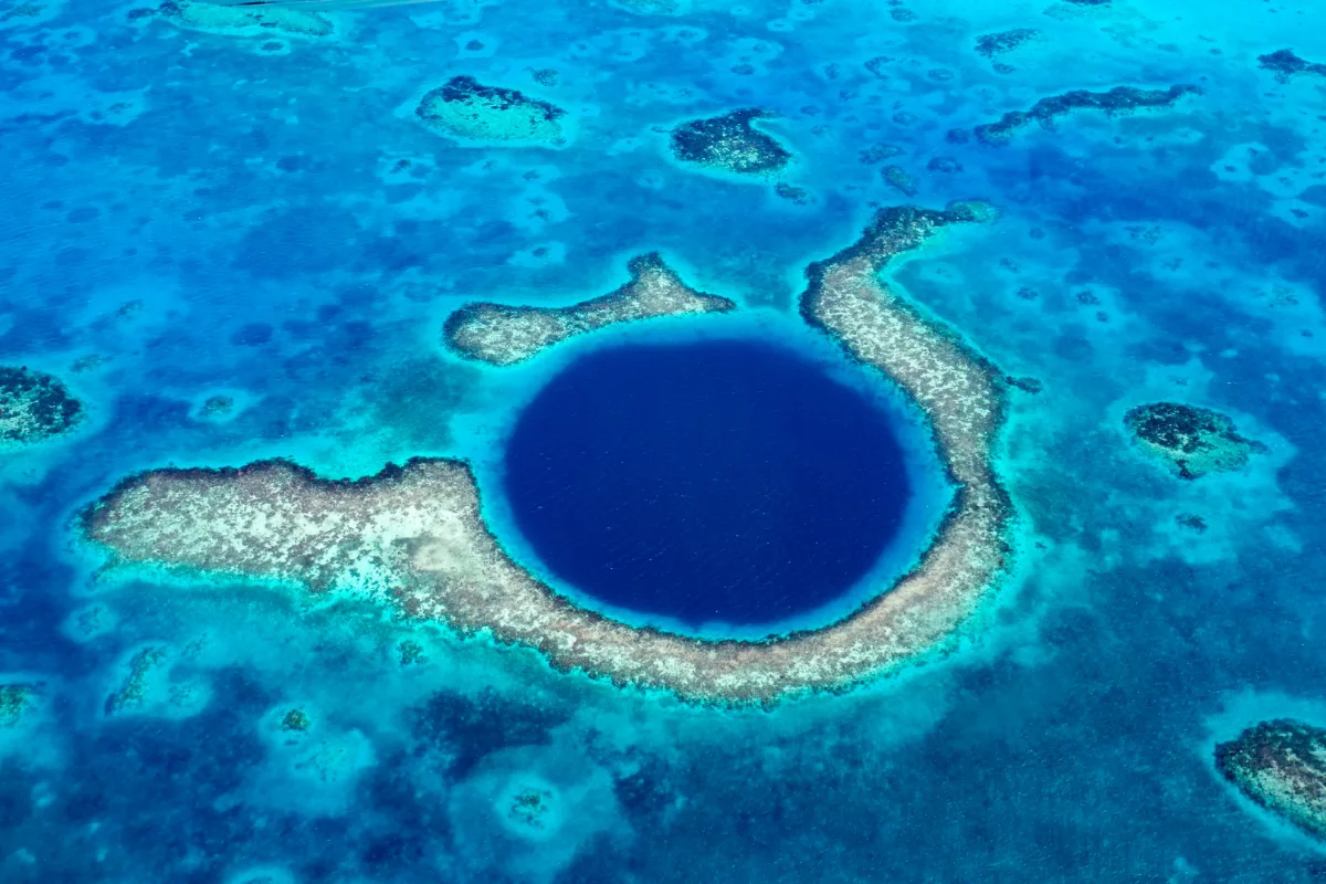 Cine este acest misterios prădător descoperit în adâncurile oceanului, la 7.902 metri adâncime?