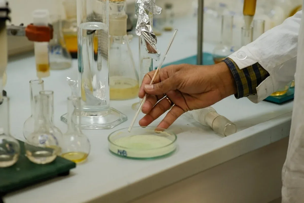 Un inginer de la Universitatea din Houston dezvoltă foi de celuloză bacteriană îmbunătățite, biodegradabile și multifuncționale, cu potențialul de a înlocui plasticul în multiple industrii