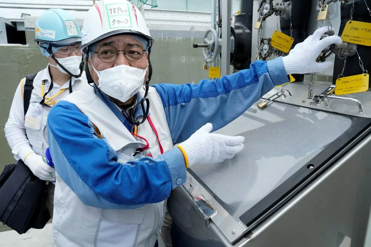 Animalele din Fukushima caută o altă ramură a evoluției: aceste mici broaște verzi spun povestea cu ADN-ul lor modificat
