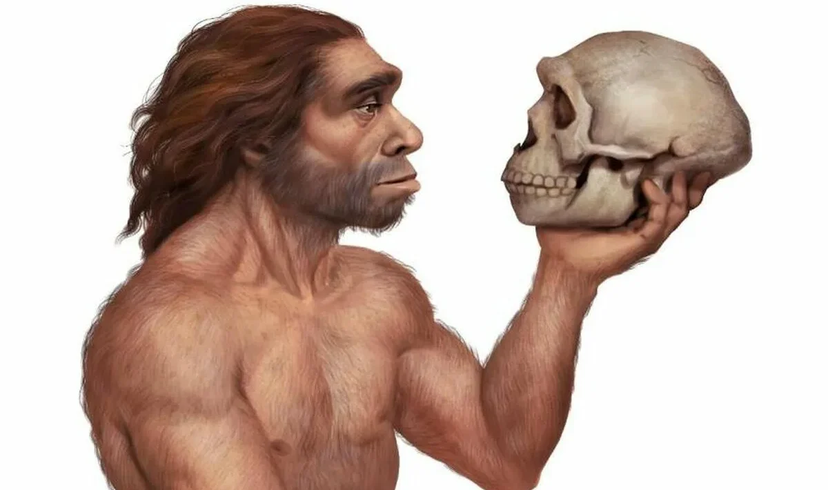 Neanderthal