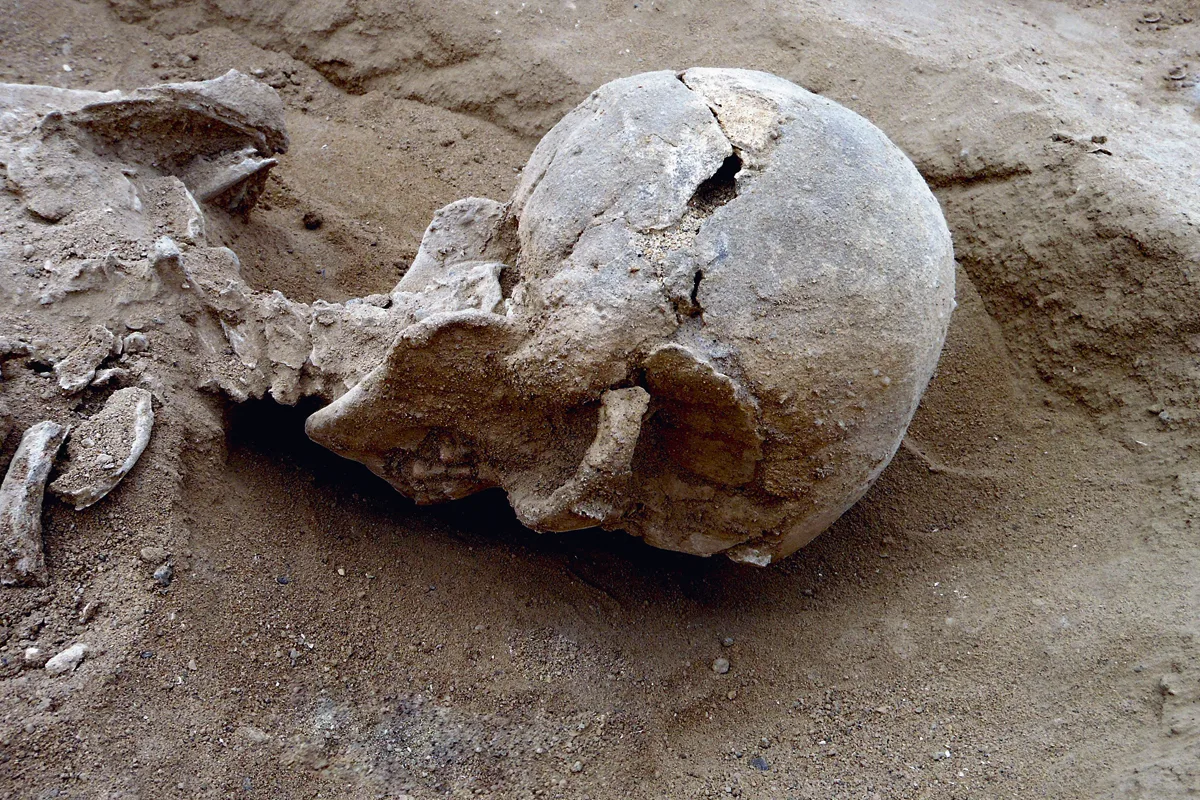 Niños que realizaban una conexión de agua encuentran el cráneo deformado de un niño que vivió hace más de 700 años en Argentina