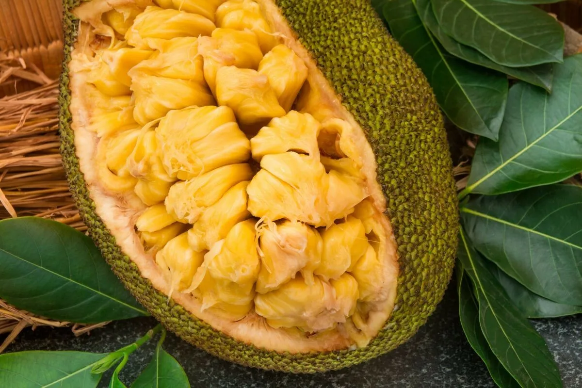 Nici pepene galben, nici pepene roșu: fructul tropical care cântărește 50 de kilograme și este perfect pentru controlul zahărului în timpul verii