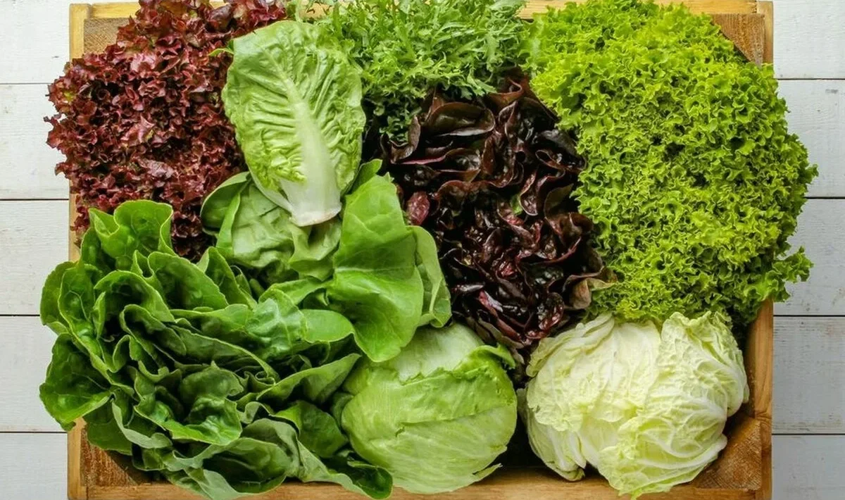 salata