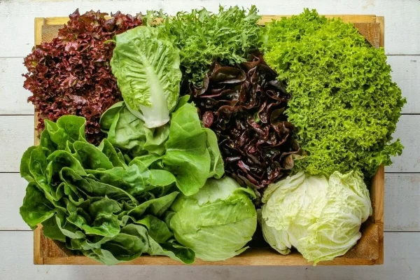 salata