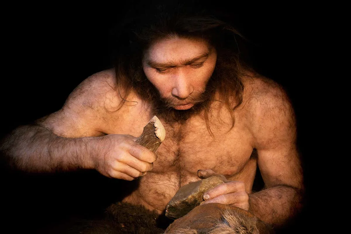 Un copil culege o „piatră frumoasă” de pe plajă și descoperă că era un instrument neandertal rar, vechi de peste 60 de mii de ani