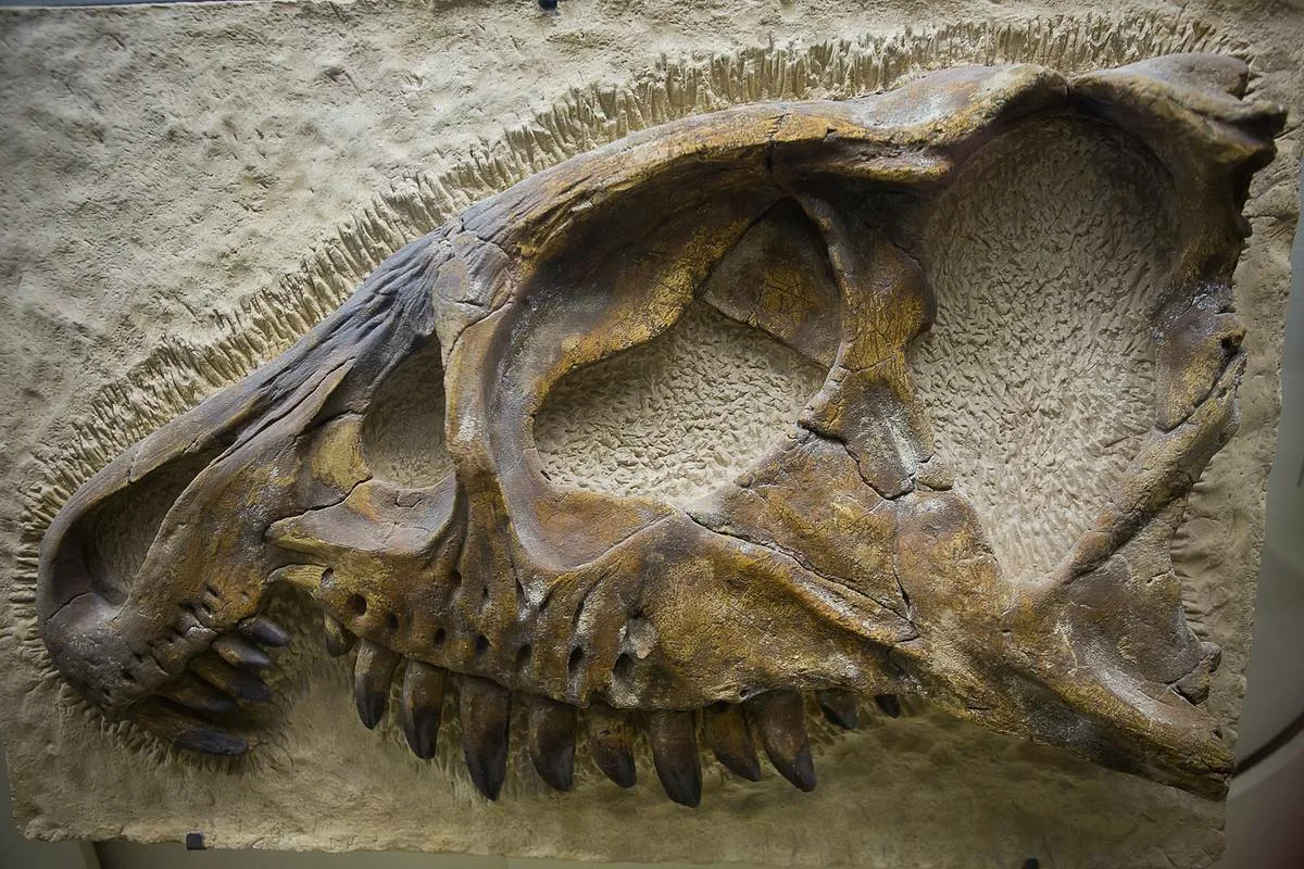 Un fosil de 300 de milioane de ani spune științei că ceva asemănător cu dinozaurul din „Toy Story” a existat cu adevărat