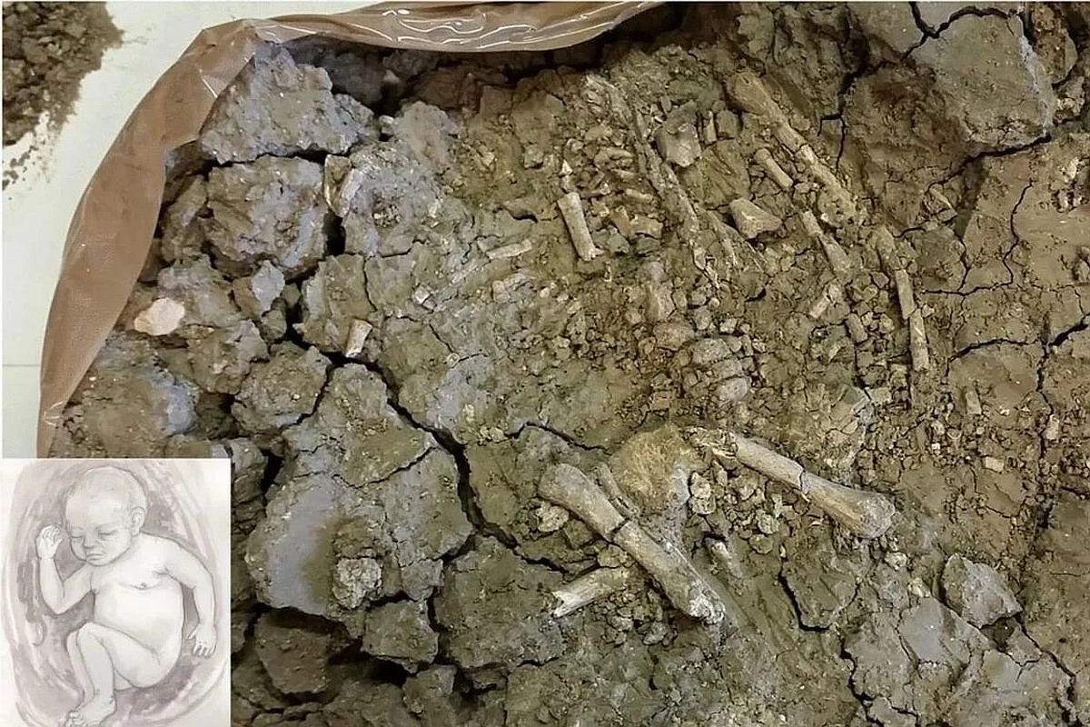 Arheologii nu-și dau crezare: descoperă un mormânt care rescrie istoria civilizației etrusce