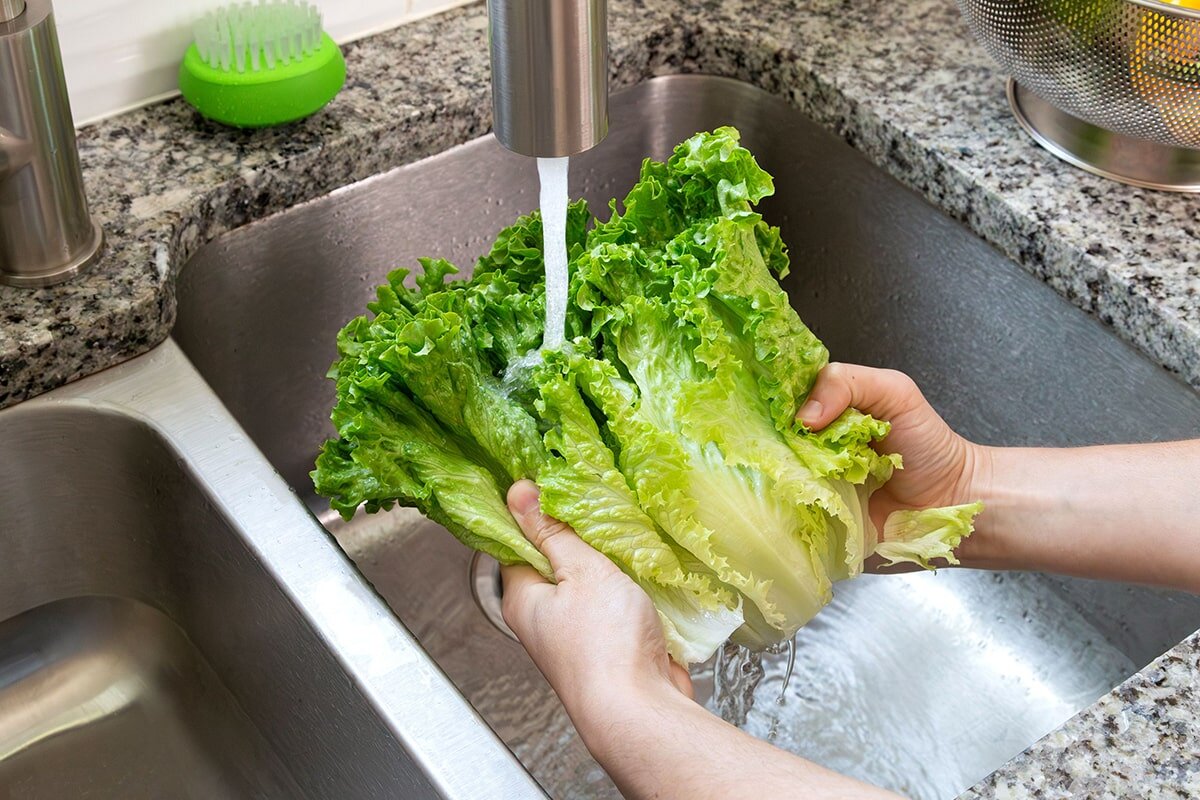 Nu este suficientă doar apa: care este modul corect de a spăla salata verde pentru a elimina bacteriile